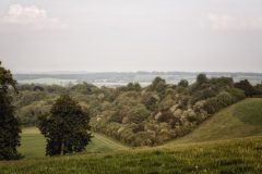 Photograph of rolling countryside hills and trees.