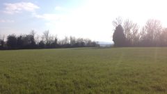 A photo of a large open field at Bells Farm Shop, Stourport on Severn. The sun is high in the sky casting a bright lens flare across the photo. In the background are autumnal trees.